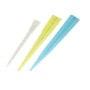 PUNTAS BLANCAS, AMARILLAS,  AZULES